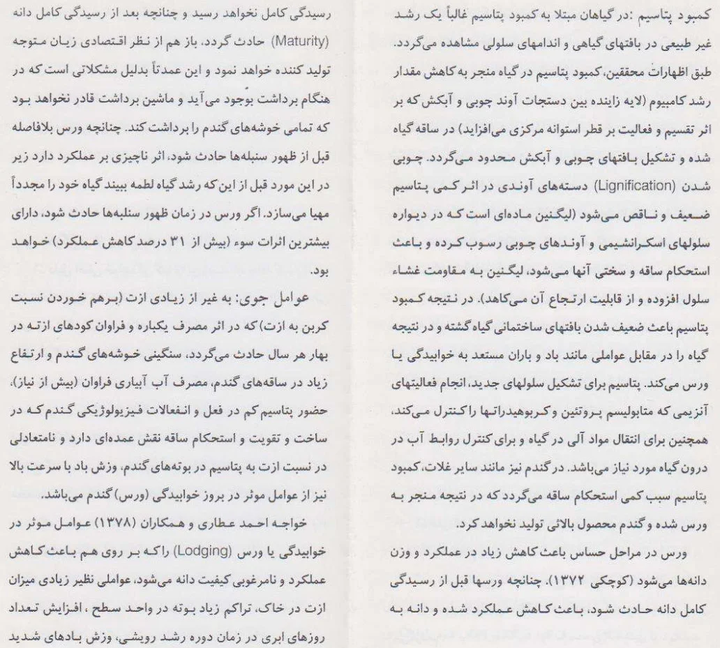 ضرورت پیشگیری و مبارزه با ورس یا خوابیدگی گندم برای افزایش تولید گندم در کشور صفحه 4