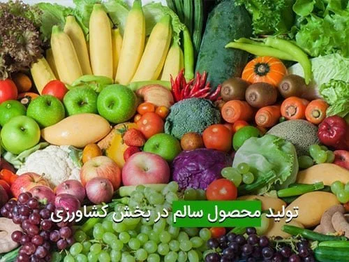 تولید محصول سالم در بخش کشاورزی