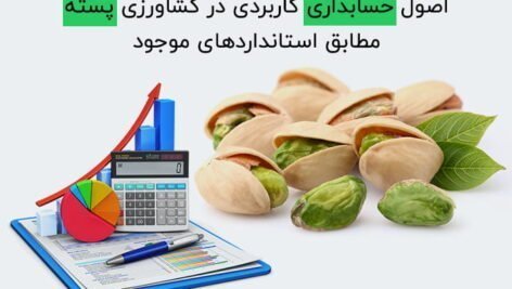 اصول حسابداری کاربردی در کشاورزی پسته مطابق استانداردهای موجود