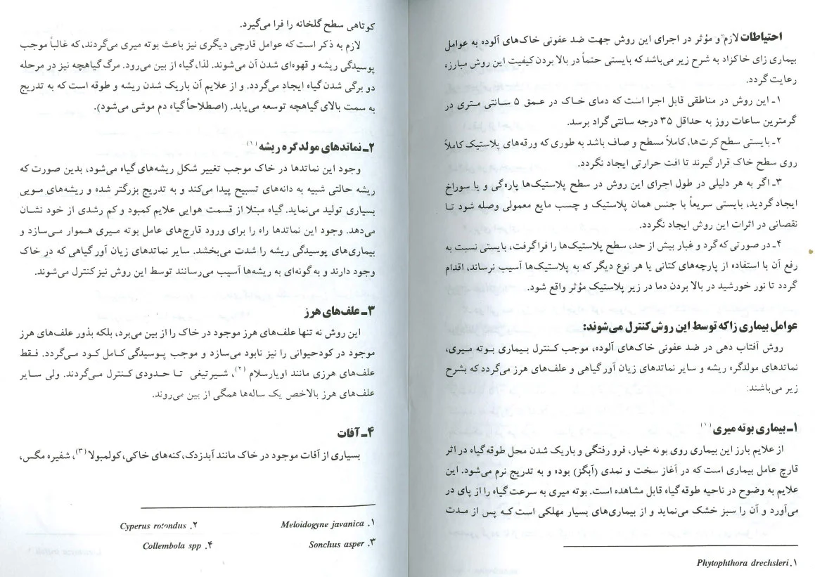 ضدعفونی خاک گلخانه ها با استفاده از پوشش پلاستیک و کود حیوانی صفحه 2