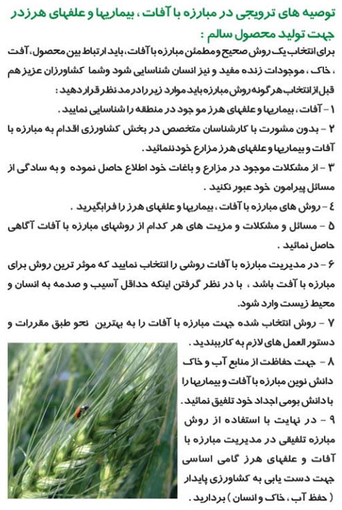 تولید محصول سالم در بخش کشاورزی صفحه 12