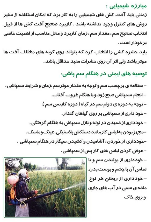 تولید محصول سالم در بخش کشاورزی صفحه 6