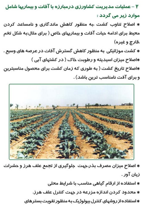 تولید محصول سالم در بخش کشاورزی صفحه 8