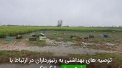 توصيه های بهداشتی به زنبورداران در ارتباط با وقوع سيل و آبگرفتگی