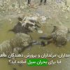 دامداران، مرغداران و پرورش دهندگان ماهی آیا برای بحران سیل آماده اید؟