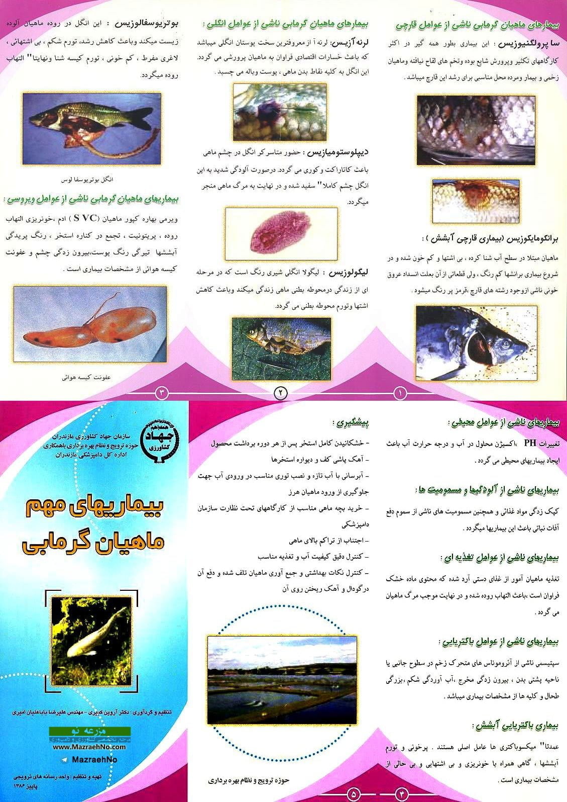 بیماری های مهم ماهیان گرمابی