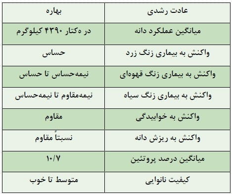 گندم رقم آزادی