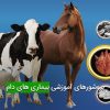 بروشورهای آموزشی بیماری های دام
