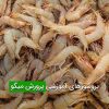 بروشورهای آموزشی پرورش میگو