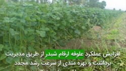 افزايش عملكرد علوفه ارقام شبدر از طريق مديريت برداشت و بهره مندی از سرعت رشد مجدد در برداشت های متوالی