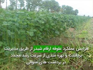 افزايش عملكرد علوفه ارقام شبدر از طريق مديريت برداشت و بهره مندی از سرعت رشد مجدد در برداشت های متوالی