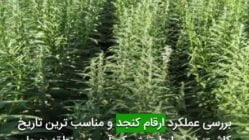 بررسی عملكرد ارقام كنجد و مناسب ترين تاريخ كاشت در شرايط تنش كم آبی در منطقه بهبهان