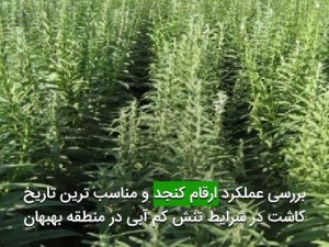 بررسی عملكرد ارقام كنجد و مناسب ترين تاريخ كاشت در شرايط تنش كم آبی در منطقه بهبهان