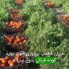 ميزان مناسب نيتروژن جهت توليد گوجه فرنگی بدون نيترات