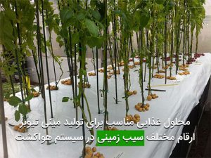 محلول غذايی مناسب براي توليد مينی تيوبر ارقام مختلف سيب زمينی در سيستم هواكشت
