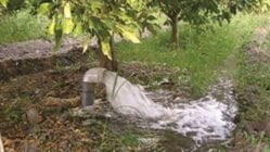 راه های صرفه جویی در مصرف آب در آبیاری سطحی