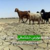 مقابله با عوارض خشکسالی و کاهش اثرات و مخاطرات آن در دام