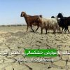 مقابله با عوارض خشکسالی و کاهش اثرات و مخاطرات آن در دام