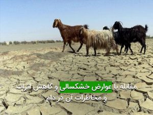 مقابله با عوارض خشکسالی و کاهش اثرات و مخاطرات آن در دام