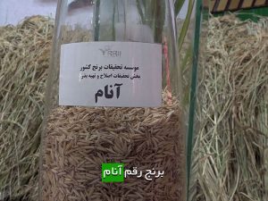 برنج رقم آنام