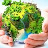 نقش ما در حفظ سلامت محیط زیست، انسان و سایر موجودات