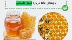 باورهای غلط درباره عسل طبیعی