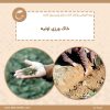 خاک ورزی اولیه | دوره آموزشی آماده سازی زمین برای کشت