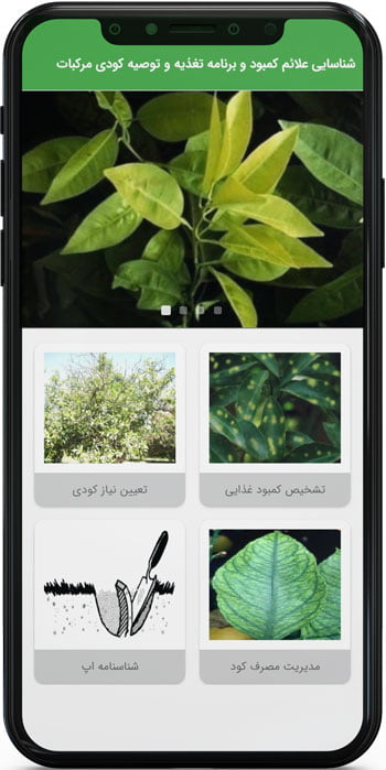 اپ اندروید شناسایی علایم کمبود و برنامه تغذیه و توصیه کودی مرکبات