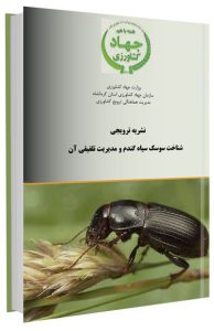 کتاب شناخت سوسک سیاه گندم و مدیریت تلفیقی آن