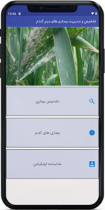 اپ اندروید تشخیص و مدیریت بیماری های مهم گندم