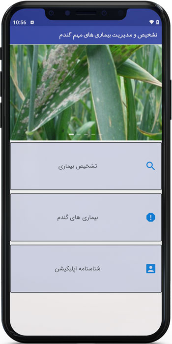 دانلود مجموعه جامع آموزش زراعت گندم و جو 58 اپ اندروید تشخیص و مدیریت بیماری های مهم گندم