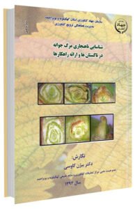 کتاب شناسایی ناهنجاری مرگ جوانه در تاکستان و ارائه راهکارها