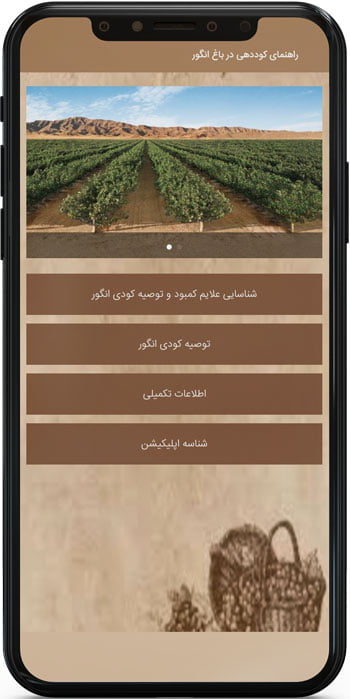 اپ اندروید راهنمای کوددهی در باغ انگور