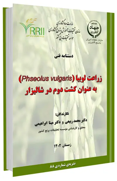 کتاب زراعت لوبیا به عنوان کشت دوم در شالیزار