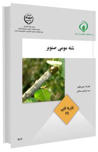 کتاب شته مومی صنوبر