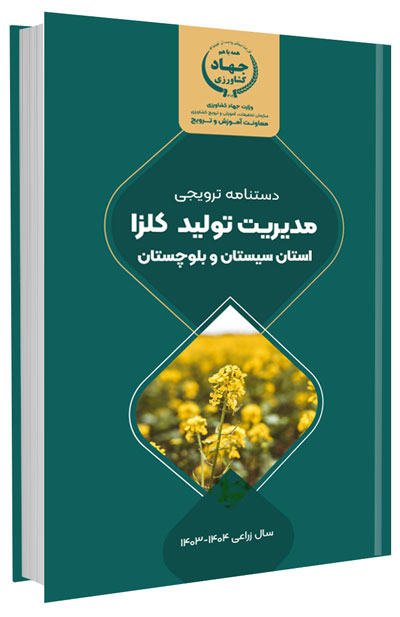 دانلود مجموعه جامع آموزش زراعت کلزا 11 کتاب مدیریت تولید کلزا در استان سیستان و بلوچستان