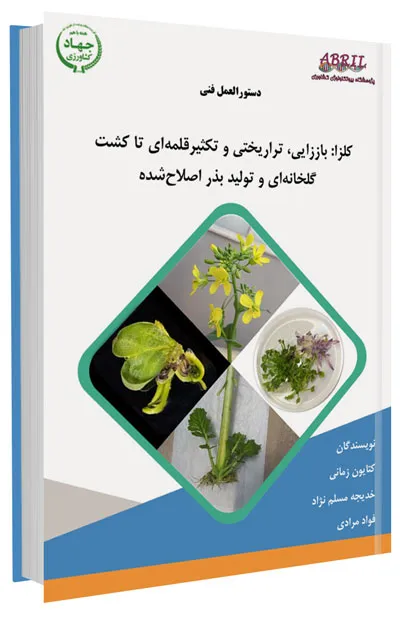 کتاب کلزا : باززایی، تراریختی و تکثیر قلمهای تا کشت گلخانهای و تولید بذر اصلاحشده