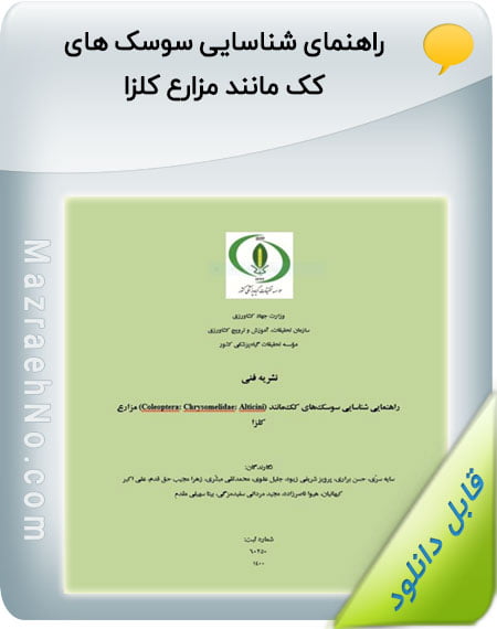 کتاب راهنمای شناسایی سوسک های کک مانند مزارع کلزا