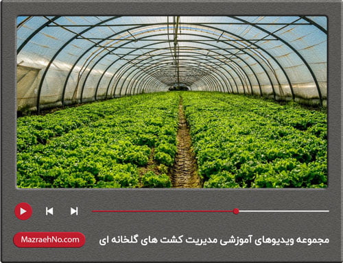 مجموعه فیلم های آموزشی مدیریت کشت های گلخانه ای