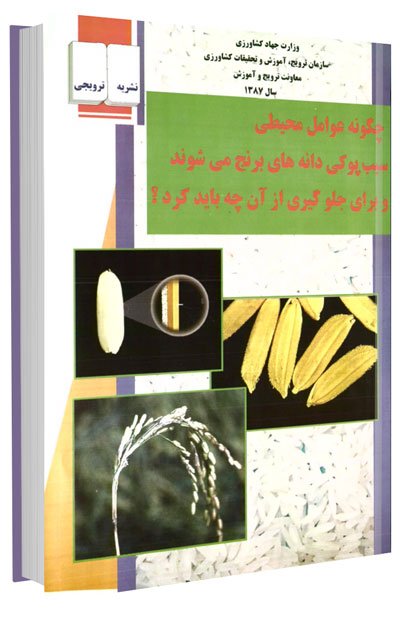 کتاب چگونه عوامل محیطی سبب پوکی دانه های برنج می شوند و برای جلوگیری از آن چه باید کرد؟