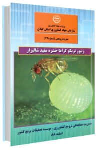 کتاب زنبور تریکوگراما حشره مفید شالیزار (برنج)