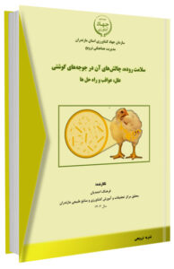 کتابچه سلامت روده، چالش های آن در جوجه گوشتی | علل، عواقب و راه حل ها