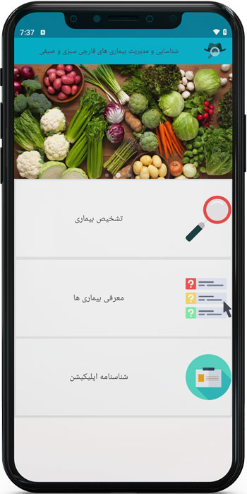 اپ اندروید شناسایی و مدیریت بیماری های قارچی گوجه فرنگی، خیار و سیب زمینی