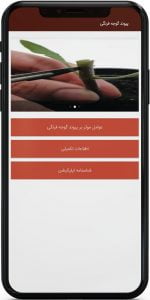 اپ اندروید پیوند گوجه فرنگی