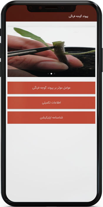 اپ اندروید پیوند گوجه فرنگی