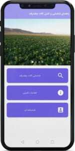 اپ اندروید راهنمای شناسایی و کنترل آفات مهم چغندر قند