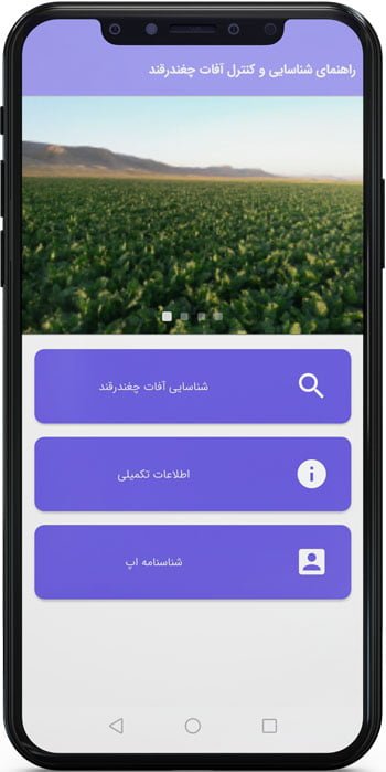 اپ اندروید راهنمای شناسایی و کنترل آفات مهم چغندر قند