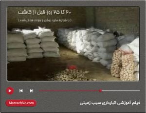 فیلم آموزشی انبارداری سیب زمینی