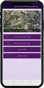 اپ اندروید روش های بررسی وضعیت تغذیه ای باغ های زیتون