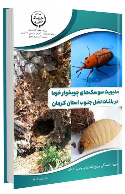 کتاب مدیریت سوسک های چوبخوار خرما در باغات نخل جنوب استان کرمان